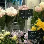 乐动官网- 北京男篮小外援纳托尔图片 